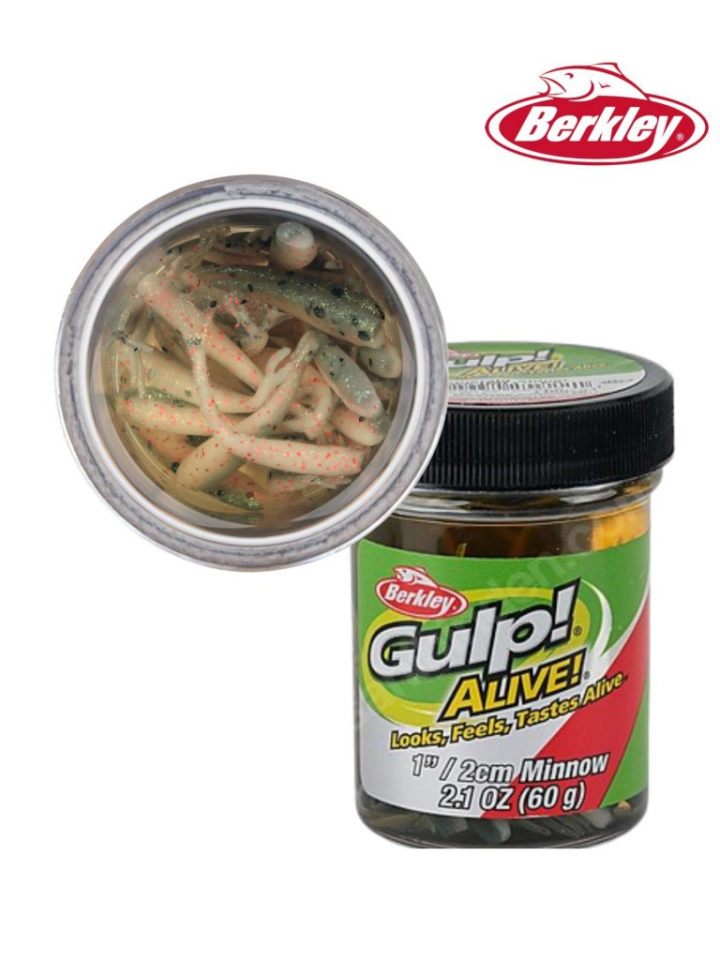 Berkley Gulp Alive 1'' Inc Minnow Silikon Yem Luma Glow